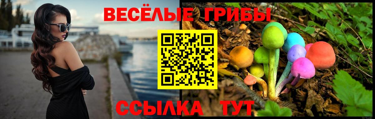 Псилоцибиновые грибы MAGIC MUSHROOMS Алексин