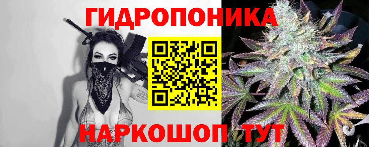 Бошки Шишки AK-47  Каннабис Amnesia  Конопля SATIVA & INDICA  Вход с VPN  Конопля марихуана  Алексин 